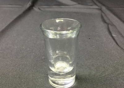Shot Glass $0.40